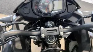 Kawasaki Versys-X 300 (2017 - 20)  (5)