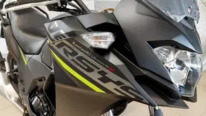 Kawasaki Versys-X 300 (2017 - 20)  (6)