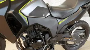 Kawasaki Versys-X 300 (2017 - 20)  (8)