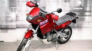 Kawasaki KLE 500 (1991 - 00)  (7)
