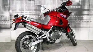 Kawasaki KLE 500 (1991 - 00)  (8)