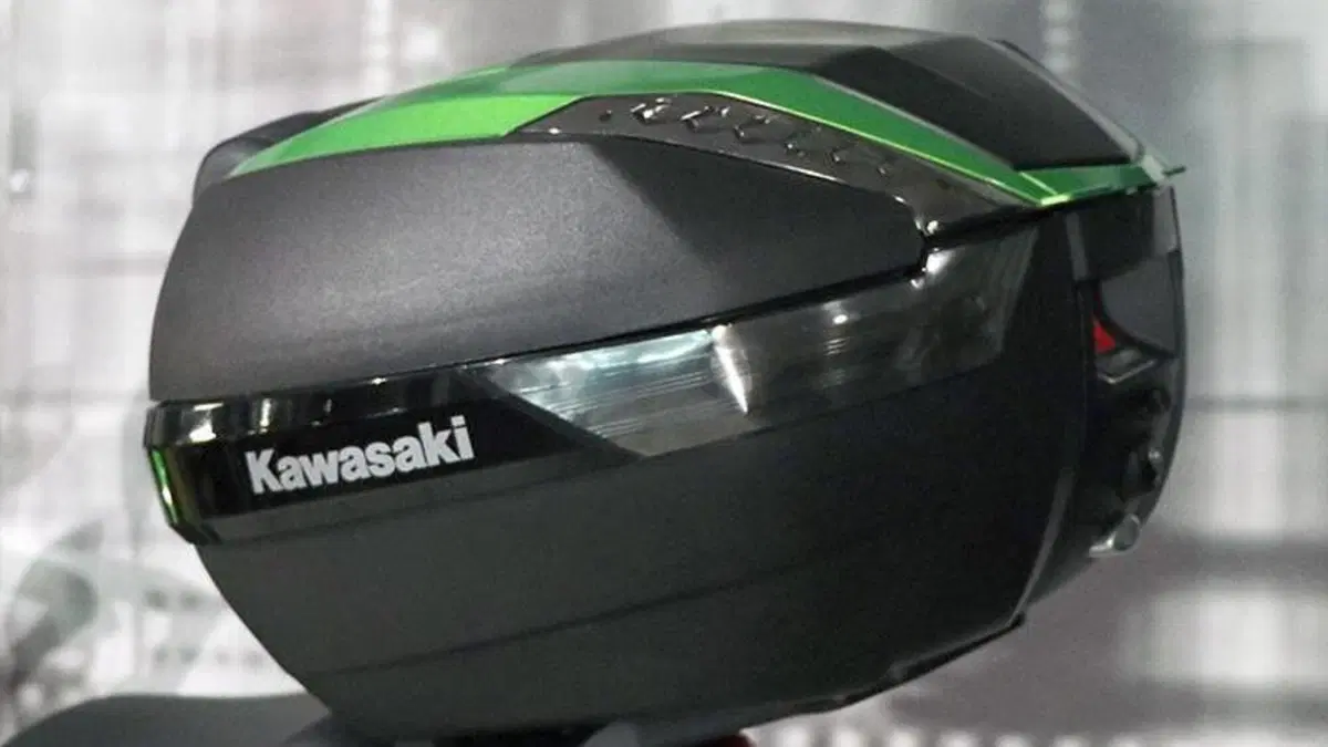 Kawasaki Versys 1000 (2019 - 20)  (5)