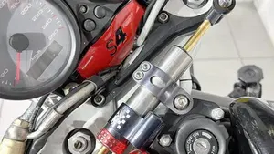 Ducati Monster S4 (2001 - 03)  (5)