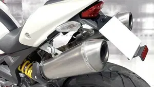 Ducati Monster 1100 (2009 -10)  (4)