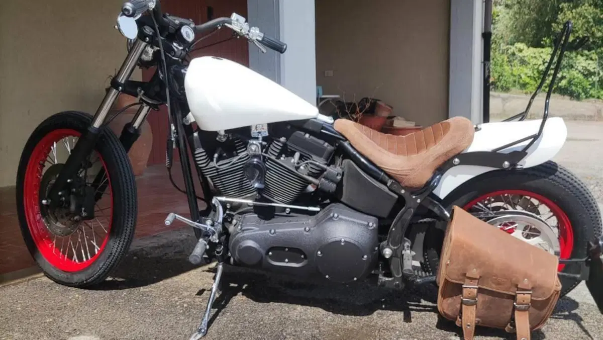 Harley-Davidson 1450 Night Train (2002 - 05) - FXSTBI  (5)