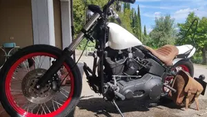 Harley-Davidson 1450 Night Train (2002 - 05) - FXSTBI  (6)