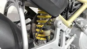Ducati Monster 600 (1994 - 02)  (4)