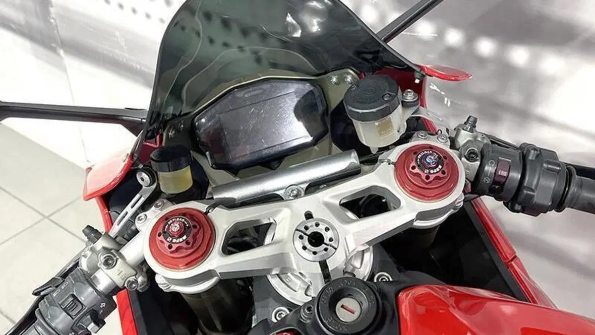 Ducati 1199 Panigale R ABS (2013 - 17)  (6)