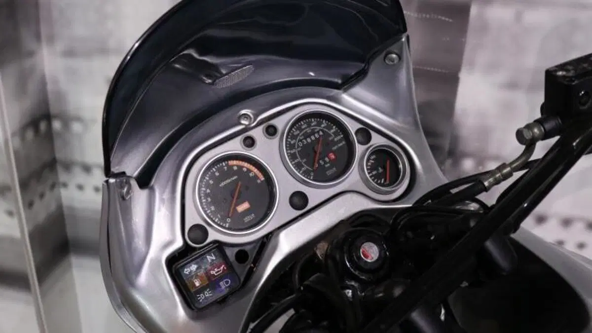 Aprilia Pegaso 650 (1997 - 00)  (6)