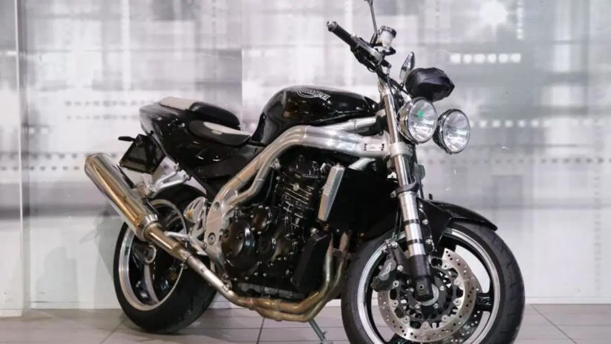 Triumph Speed Triple 955 (2002 - 04) 