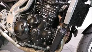 Triumph Speed Triple 955 (2002 - 04)  (3)