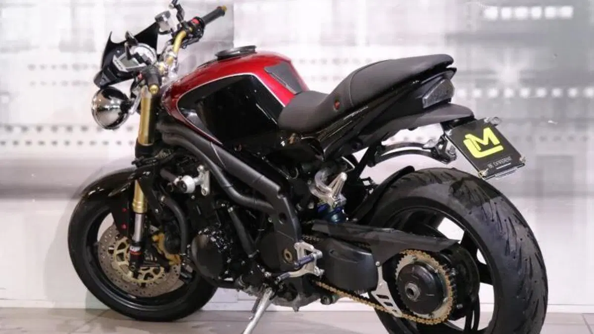 Triumph Speed Triple 1050 (2005 - 11)  (2)
