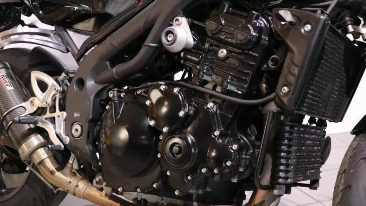 Triumph Speed Triple 1050 (2005 - 11)  (3)