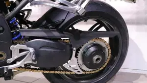 Triumph Speed Triple 1050 (2005 - 11)  (5)