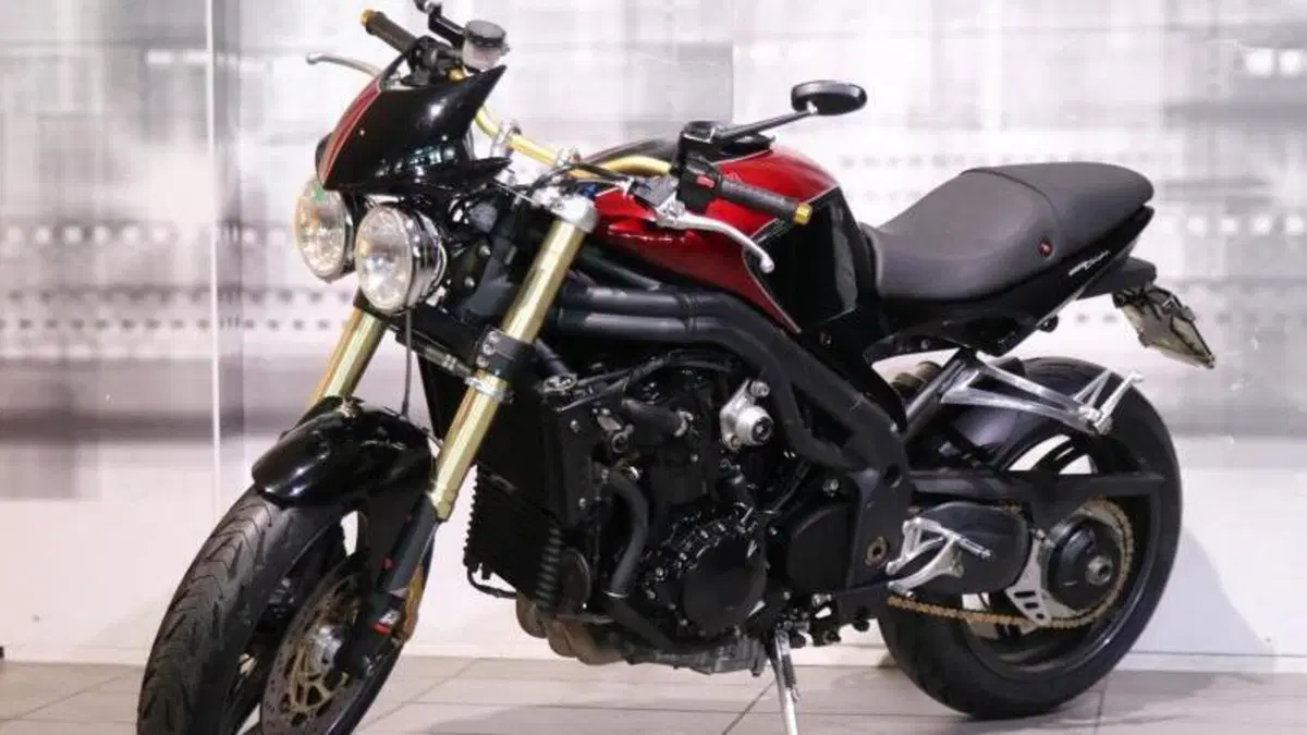 Triumph Speed Triple 1050 (2005 - 11)  (7)