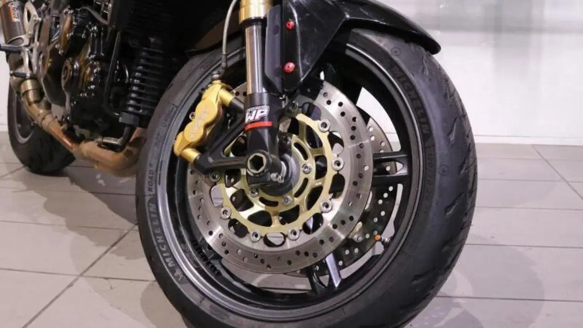 Triumph Speed Triple 1050 (2005 - 11)  (9)
