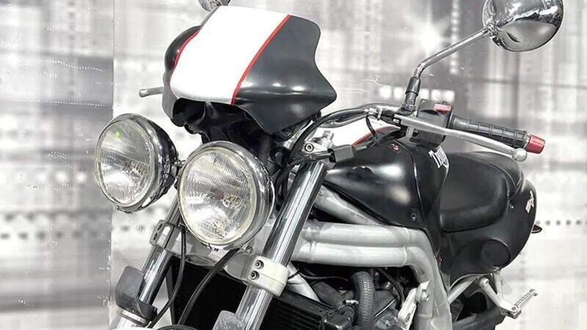 Triumph Speed Triple 955 (1998 - 01)  (5)