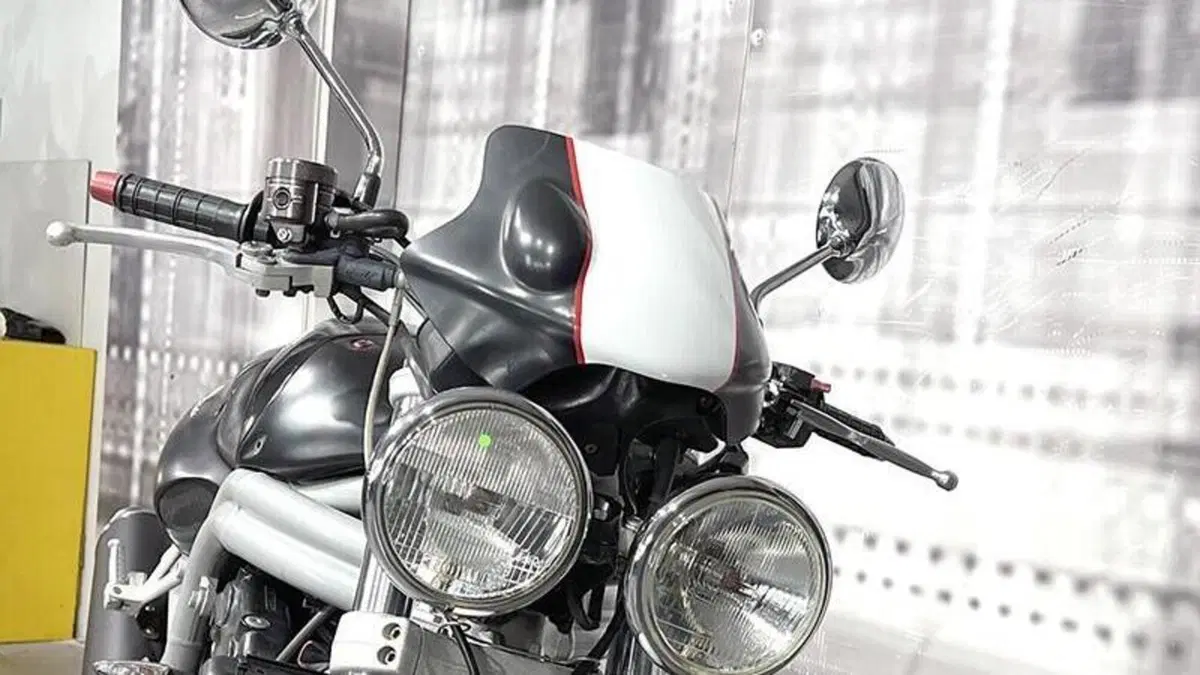 Triumph Speed Triple 955 (1998 - 01)  (9)