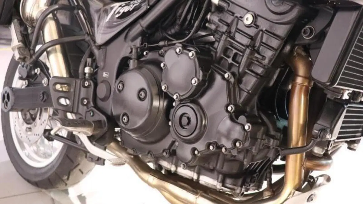 Triumph Tiger 955 (2002 - 06)  (4)