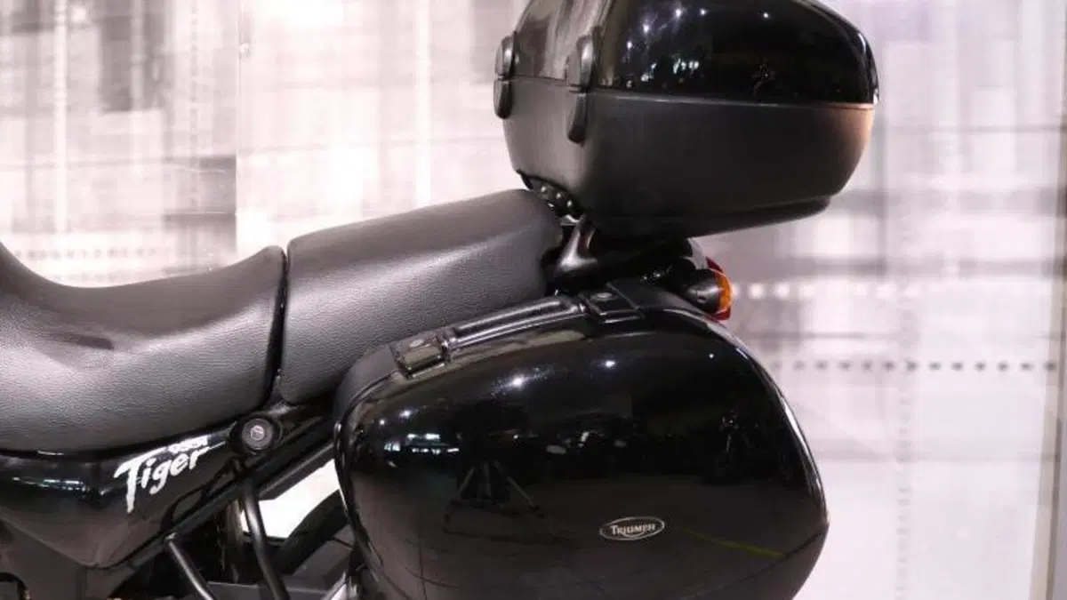 Triumph Tiger 955 (2002 - 06)  (9)