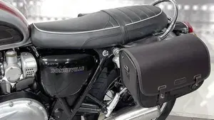 Triumph Bonneville T120 (2016 - 20)  (3)