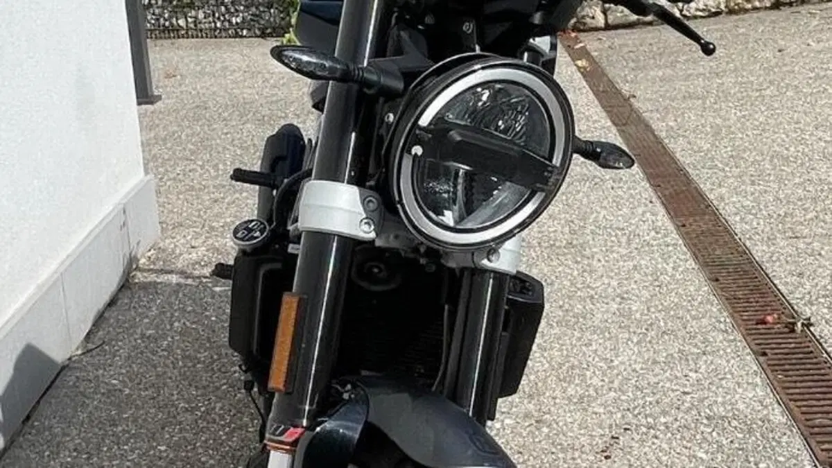 Husqvarna Svartpilen 401 (2018 - 19)  (4)