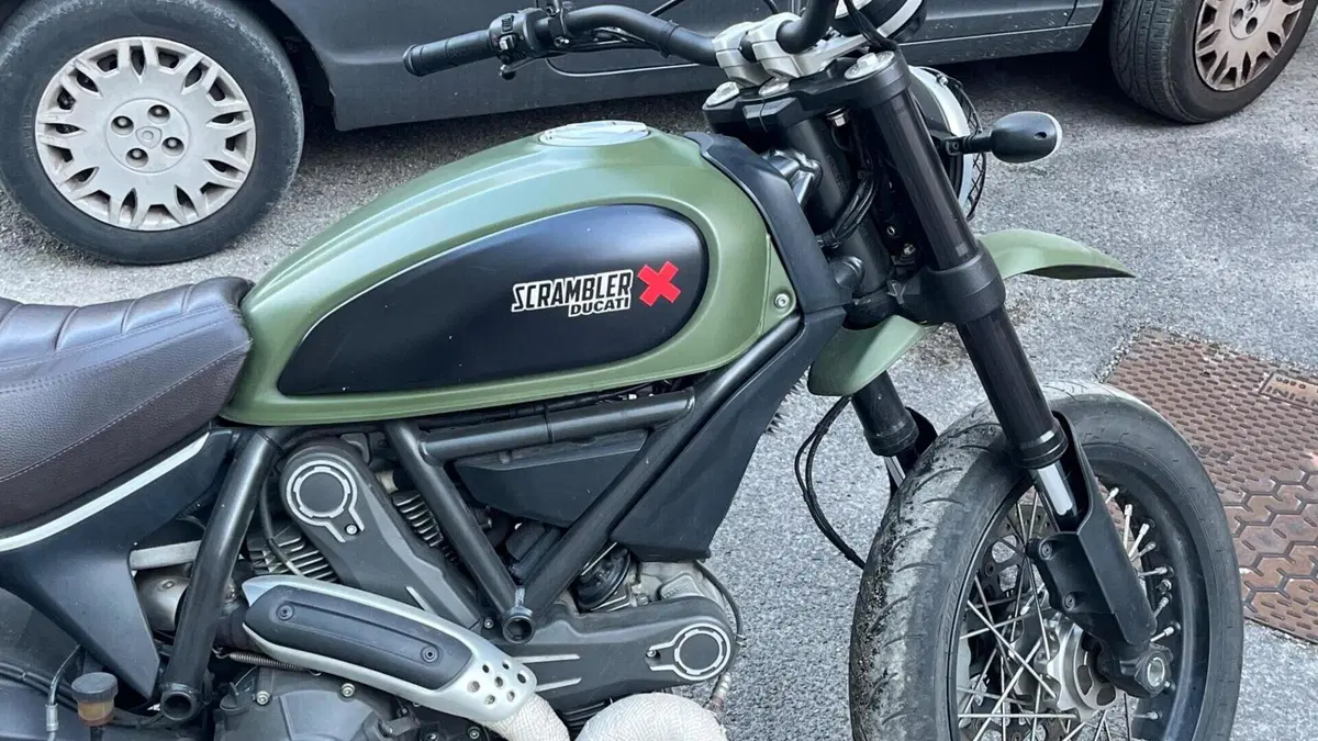 Ducati Scrambler 800 Urban Enduro (2015 - 16)  (3)