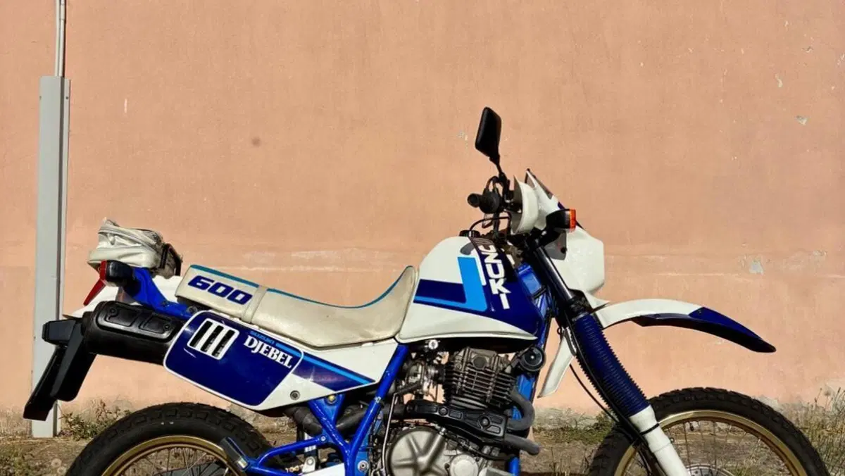 Suzuki   (2)