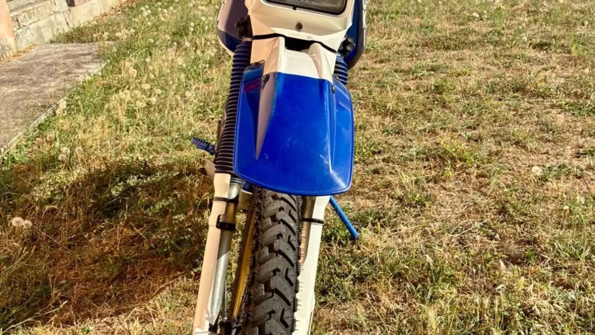 Suzuki   (3)