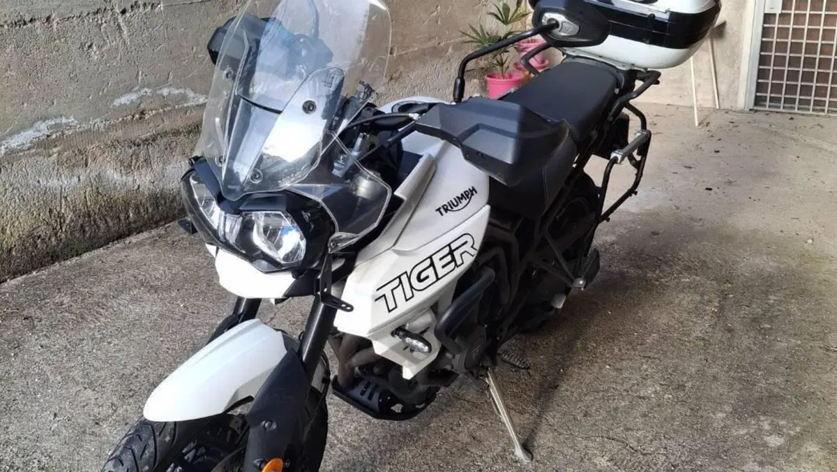 Triumph Tiger 800 XRx (2018 - 20)  (7)