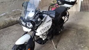 Triumph Tiger 800 XRx (2018 - 20)  (7)