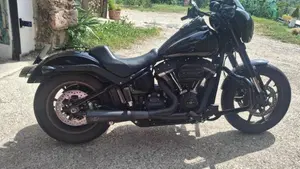 Harley-Davidson 114 Low Rider S (2020) - FXLRS  (2)