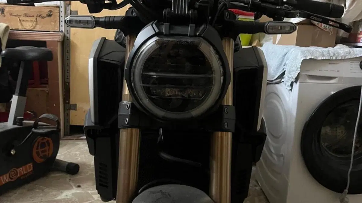 Honda CB 650 R (2019 - 20)  (2)