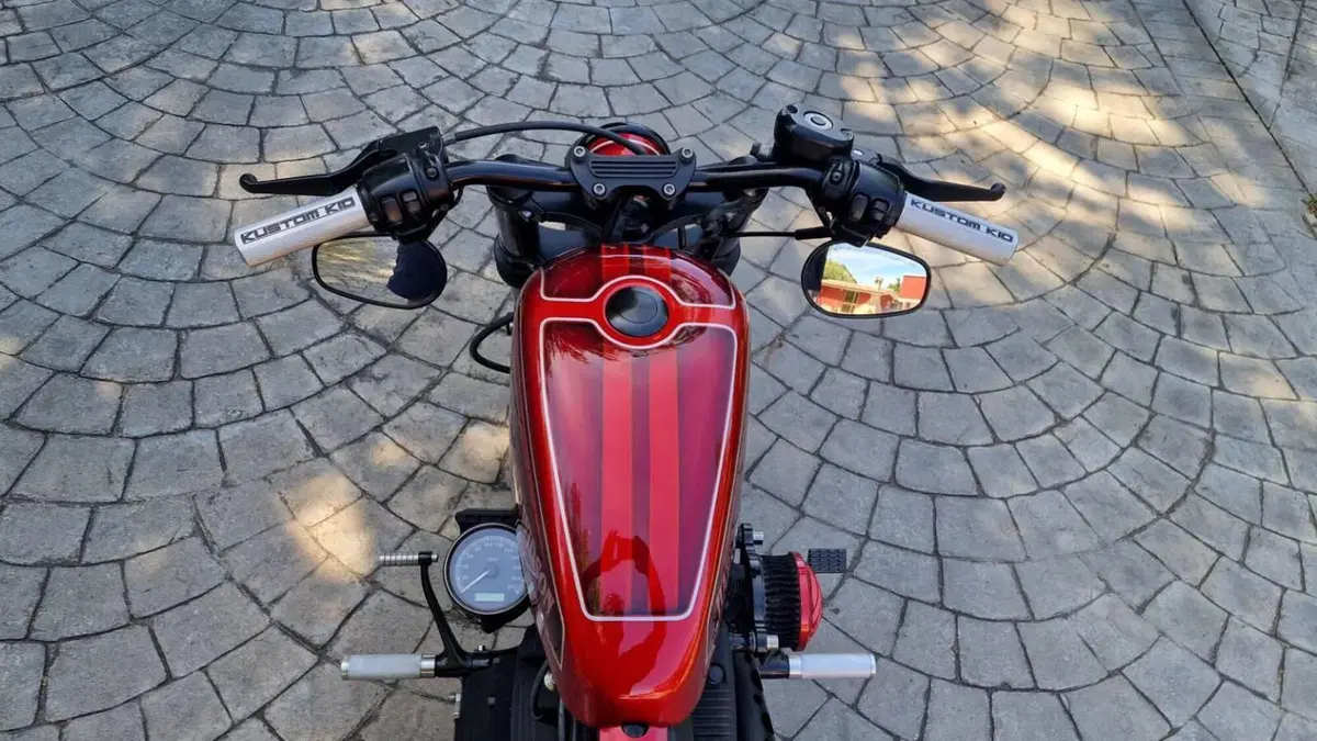 Harley-Davidson 883 Iron (2009 - 11) - XL 883N  (8)