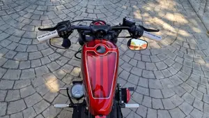 Harley-Davidson 883 Iron (2009 - 11) - XL 883N  (8)