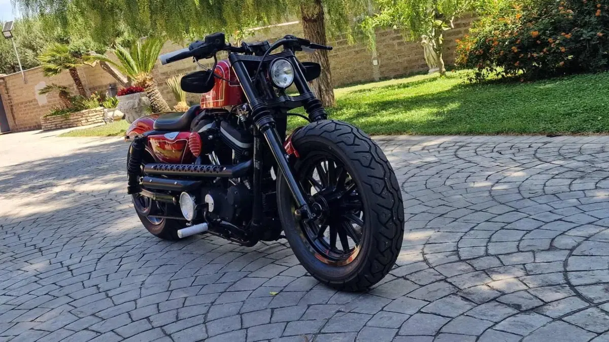 Harley-Davidson 883 Iron (2009 - 11) - XL 883N  (10)