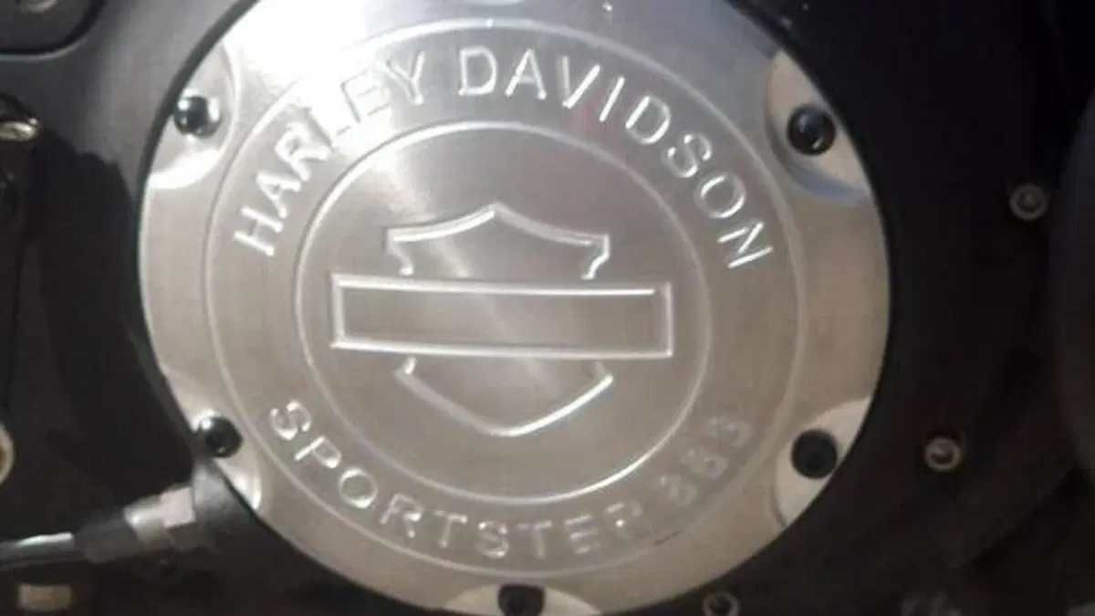 Harley-Davidson 883 Iron (2009 - 11) - XL 883N  (15)