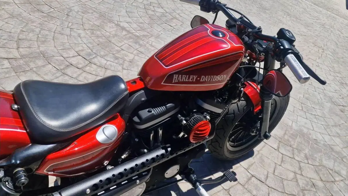 Harley-Davidson 883 Iron (2009 - 11) - XL 883N  (16)