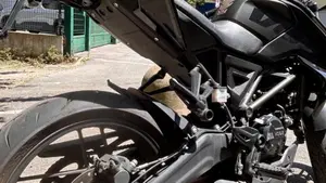 Voge Brivido 125R (2023 - 26)  (3)