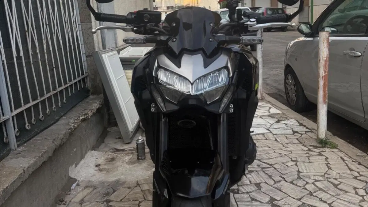 Kawasaki Z 900 Performance (2020)  (2)