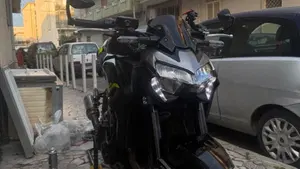 Kawasaki Z 900 Performance (2020)  (3)