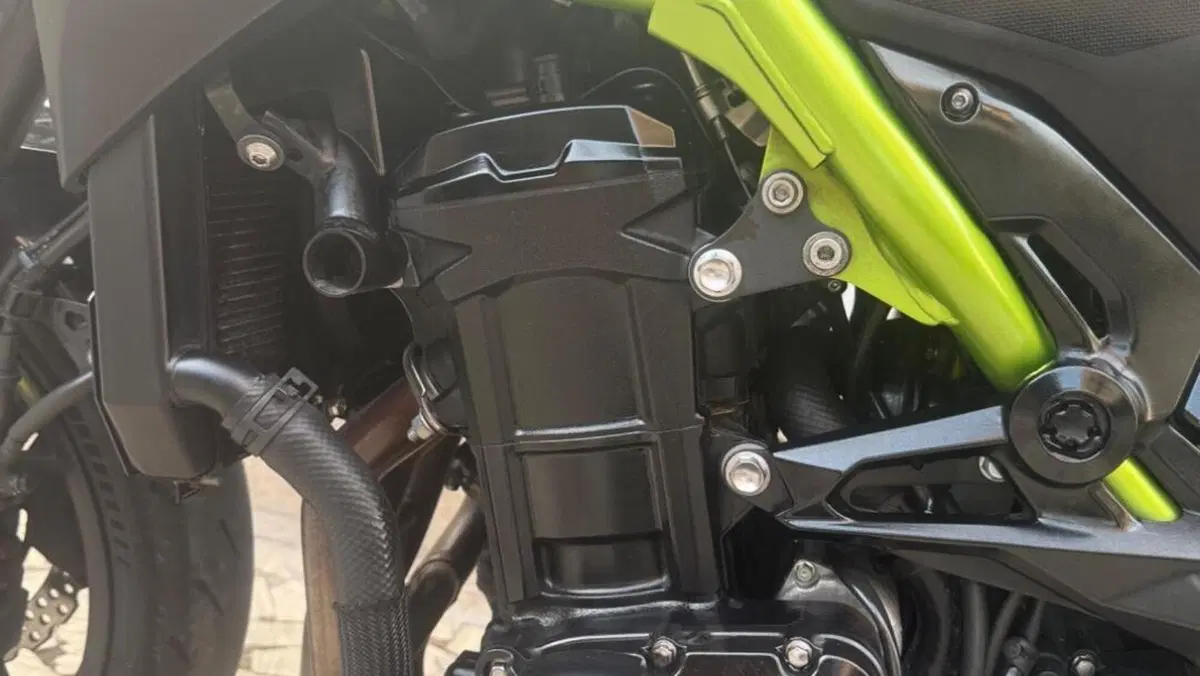 Kawasaki Z 900 Performance (2020)  (6)