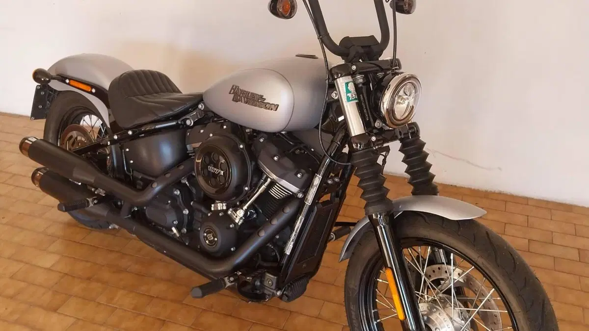 Harley-Davidson 107 Street Bob (2018 - 20) - FXBB  (8)