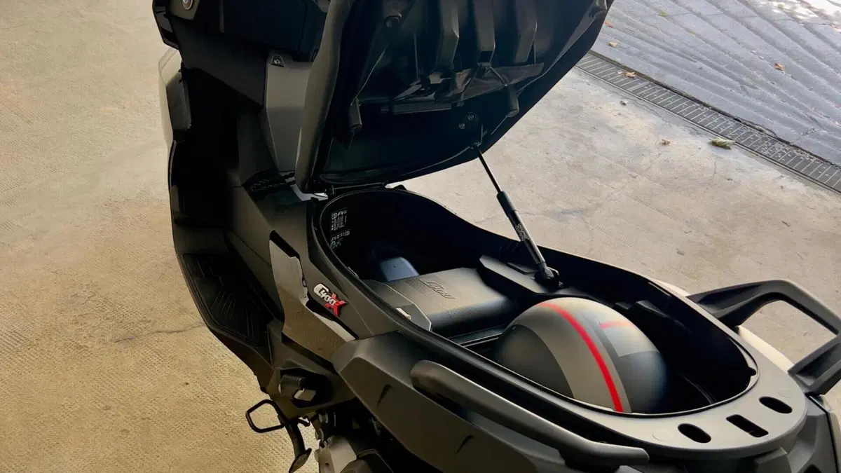 Bmw C 400 X (2021 - 24)  (18)