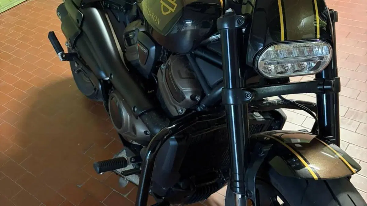 Harley-Davidson Sportster S (2025 - 26)  (7)