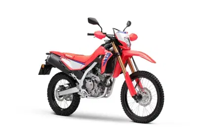 Honda CRF 300L (2025 - 26) - Annuncio 9593237