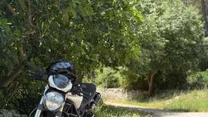 Ducati Monster 696 (2008 - 13)  (4)