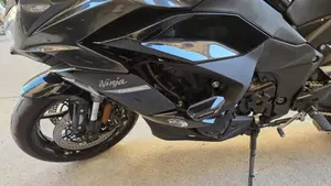 Kawasaki Ninja 1000 SX (2021 - 24) 