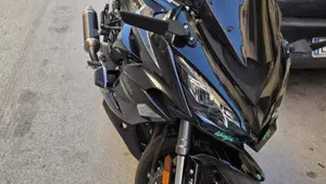 Kawasaki Ninja 1000 SX (2021 - 24)  (3)