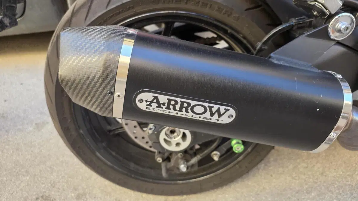 Kawasaki Ninja 1000 SX (2021 - 24)  (5)